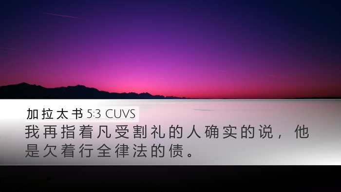 加 拉 太 书 5:3 CUVS Bible Verse Image