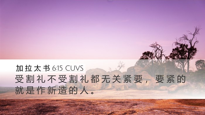 加 拉 太 书 6:15 CUVS Bible Verse Image
