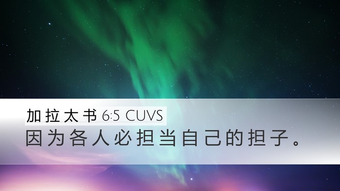 加 拉 太 书 6:5 CUVS Bible Verse Image
