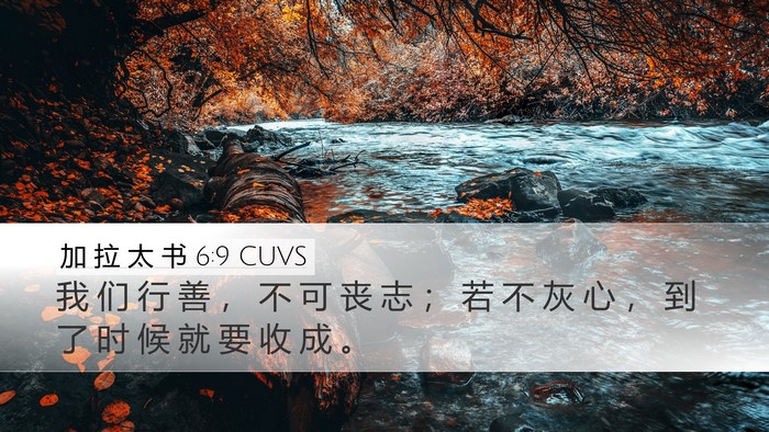 加 拉 太 书 6:9 CUVS Bible Verse Image
