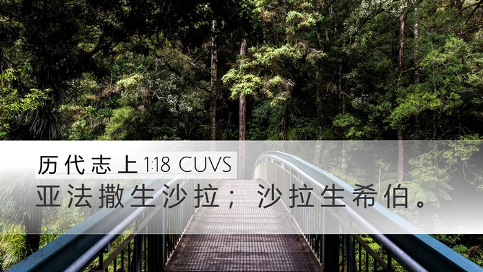 历 代 志 上 1:18 CUVS Desktop Wallpaper - 亚 法 撒 生 沙 拉 ； 沙 拉 生 希 伯 - Desktop Bible Verse Wallpaper