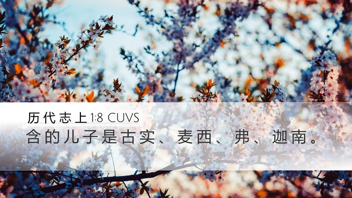 历 代 志 上 1:8 CUVS Bible Verse Image