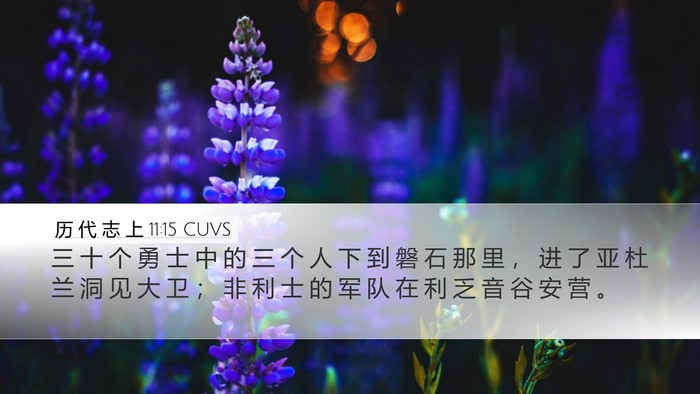 历 代 志 上 11:15 CUVS Bible Verse Image