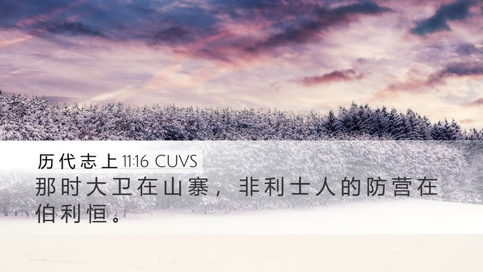 历 代 志 上 11:16 CUVS Bible Verse Image