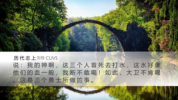 历 代 志 上 11:19 CUVS Bible Verse Image