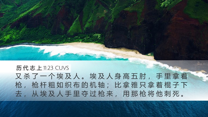 历 代 志 上 11:23 CUVS Bible Verse Image