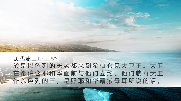历 代 志 上 11:3 CUVS Bible Verse Image
