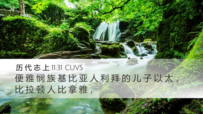 历 代 志 上 11:31 CUVS Bible Verse Image