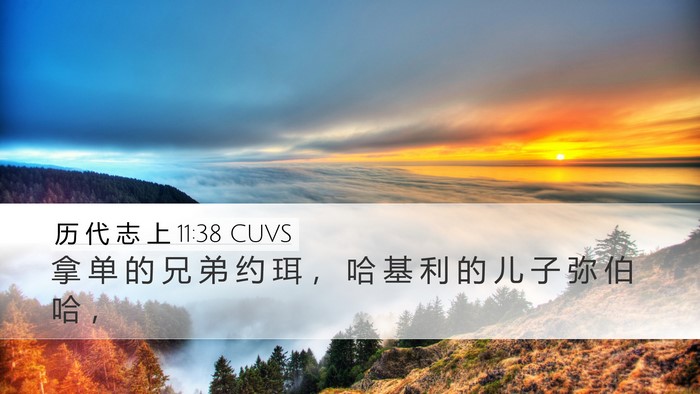 历 代 志 上 11:38 CUVS Bible Verse Image