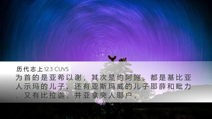 历 代 志 上 12:3 CUVS Desktop Wallpaper - 为 首 的 是 亚 希 以 谢 ， 其 次 是 - Desktop Bible Verse Wallpaper