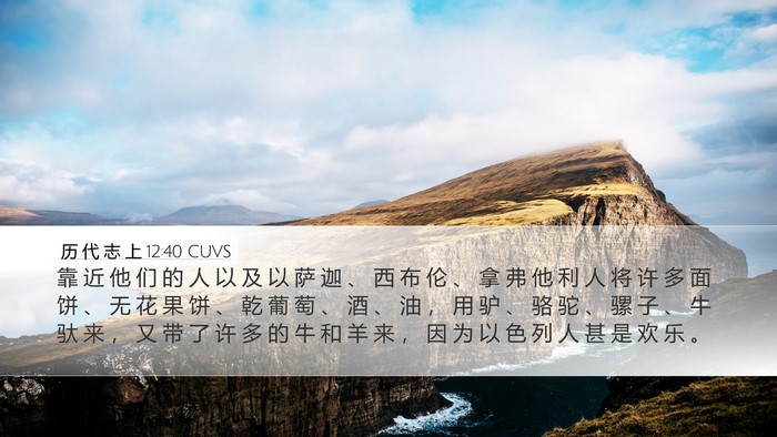 历 代 志 上 12:40 CUVS Bible Verse Image