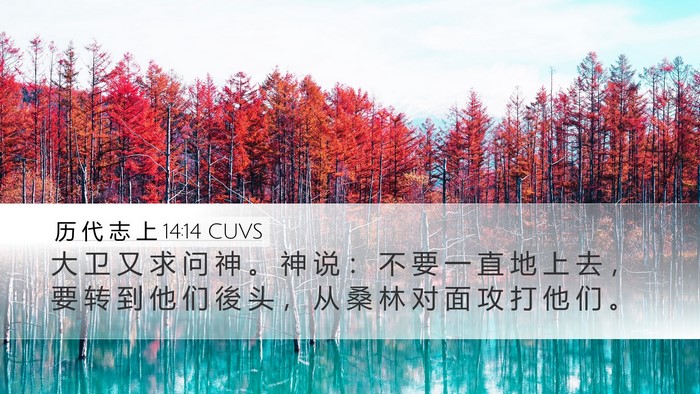 历 代 志 上 14:14 CUVS Bible Verse Image