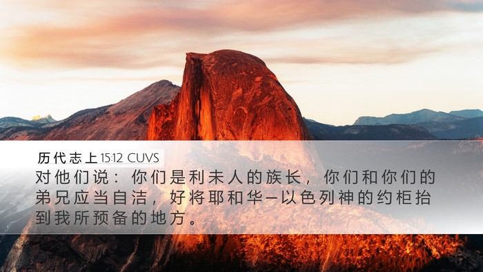 历 代 志 上 15:12 CUVS Bible Verse Image