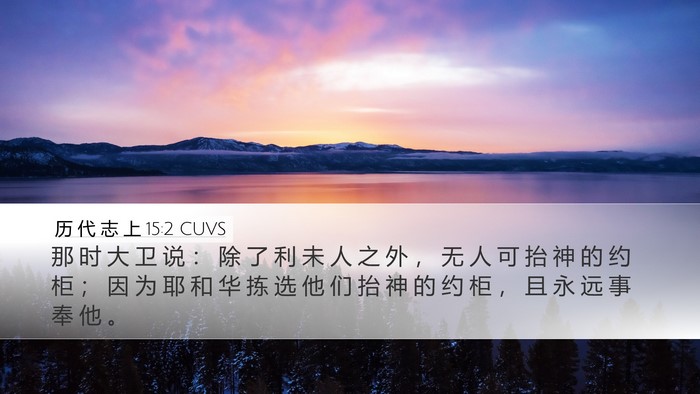 历 代 志 上 15:2 CUVS Bible Verse Image