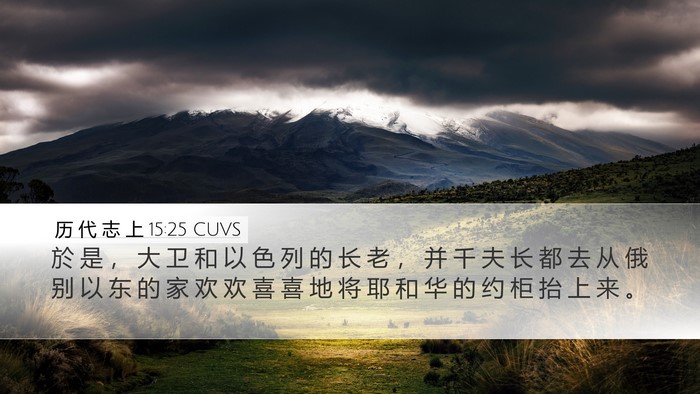 历 代 志 上 15:25 CUVS Bible Verse Image