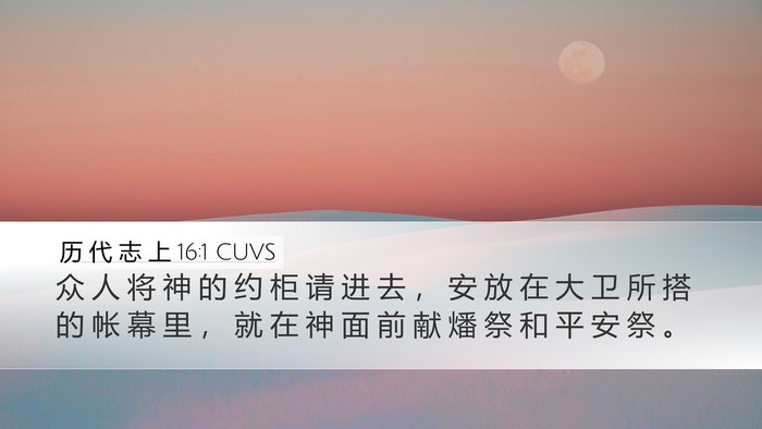 历 代 志 上 16:1 CUVS Bible Verse Image
