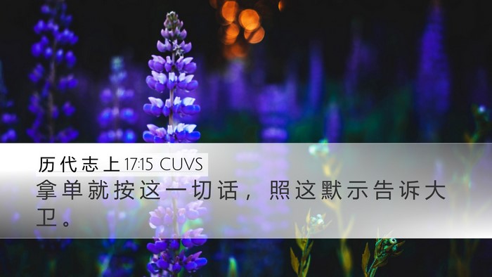 历 代 志 上 17:15 CUVS Bible Verse Image