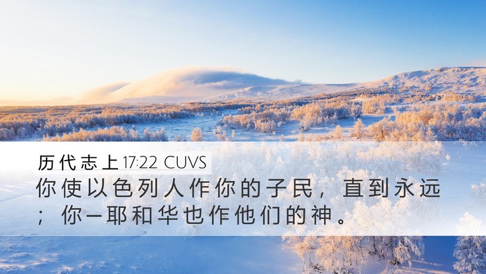 历 代 志 上 17:22 CUVS Bible Verse Image