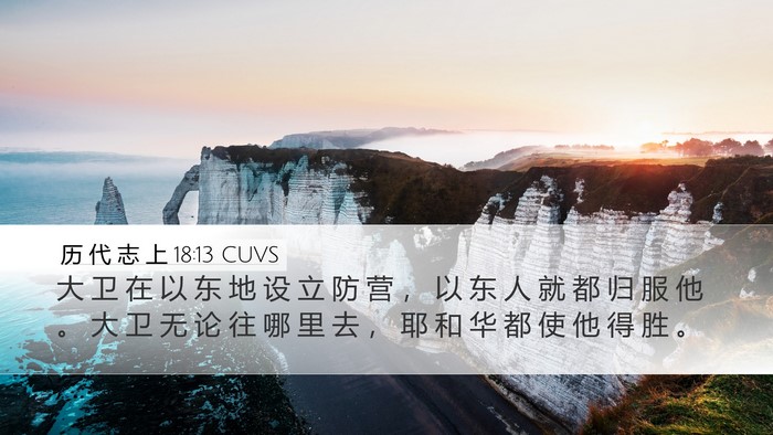 历 代 志 上 18:13 CUVS Bible Verse Image