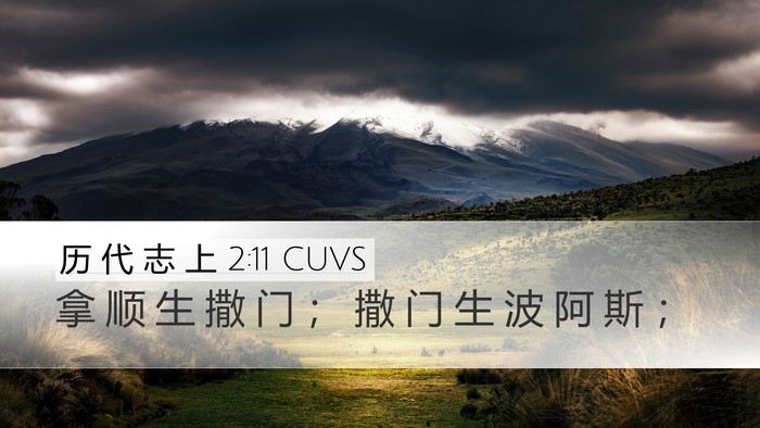 历 代 志 上 2:11 CUVS Bible Verse Image