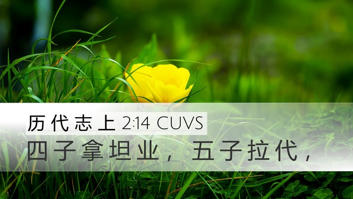 历 代 志 上 2:14 CUVS Desktop Wallpaper - 四 子 拿 坦 业 ， 五 子 拉 代 - Desktop Bible Verse Wallpaper
