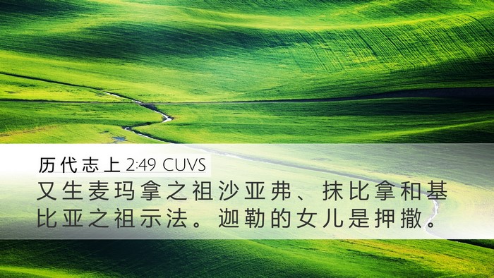 历 代 志 上 2:49 CUVS Bible Verse Image
