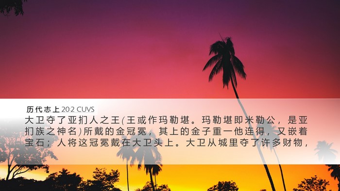 历 代 志 上 20:2 CUVS Desktop Wallpaper - 大 卫 夺 了 亚 扪 人 之 王 ( 王 或 作 - Desktop Bible Verse Wallpaper