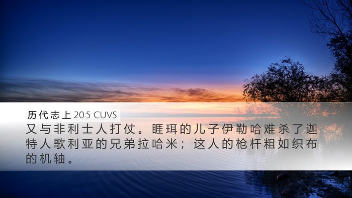 历 代 志 上 20:5 CUVS Bible Verse Image