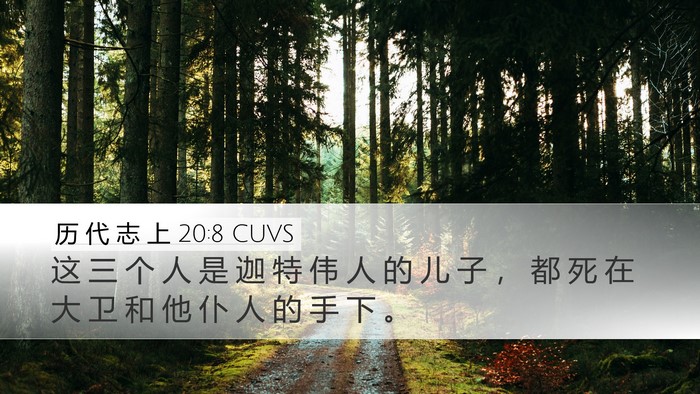历 代 志 上 20:8 CUVS Bible Verse Image