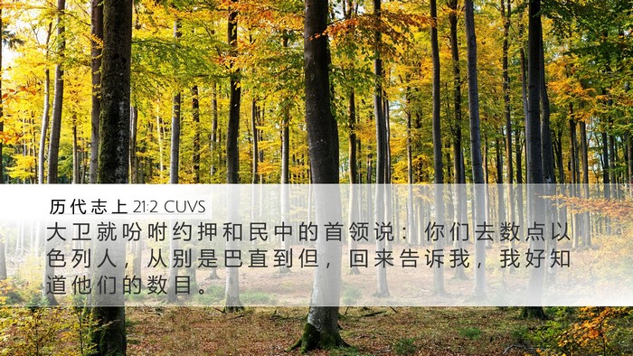 历 代 志 上 21:2 CUVS Bible Verse Image