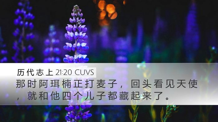 历 代 志 上 21:20 CUVS Bible Verse Image