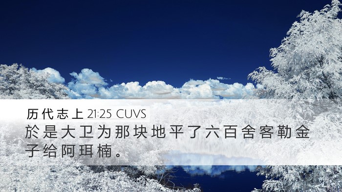 历 代 志 上 21:25 CUVS Desktop Wallpaper - 於 是 大 卫 为 那 块 地 平 了 六 百 - Desktop Bible Verse Wallpaper
