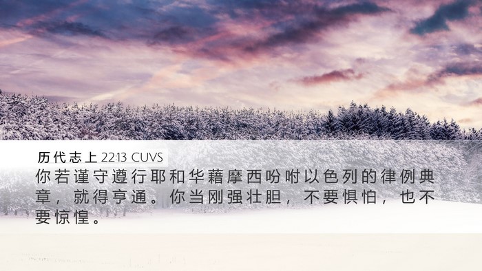 历 代 志 上 22:13 CUVS Bible Verse Image