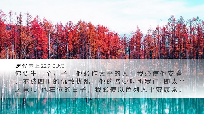 历 代 志 上 22:9 CUVS Bible Verse Image