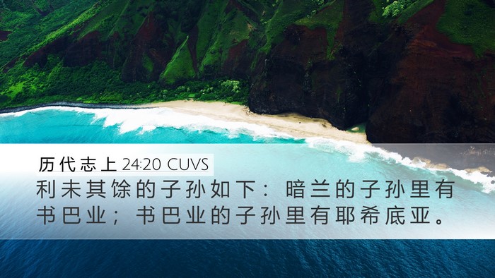 历 代 志 上 24:20 CUVS Bible Verse Image
