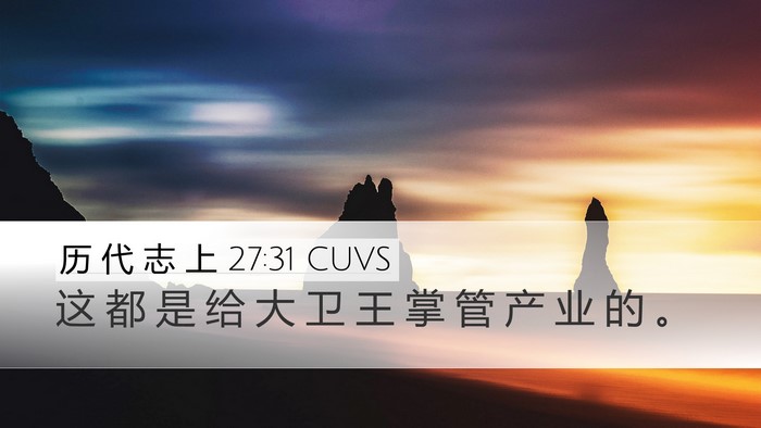 历 代 志 上 27:31 CUVS Desktop Wallpaper - 这 都 是 给 大 卫 王 掌 管 产 业 的 - Desktop Bible Verse Wallpaper