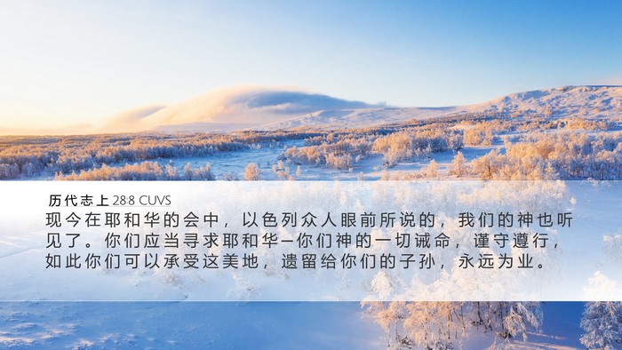 历 代 志 上 28:8 CUVS Bible Verse Image
