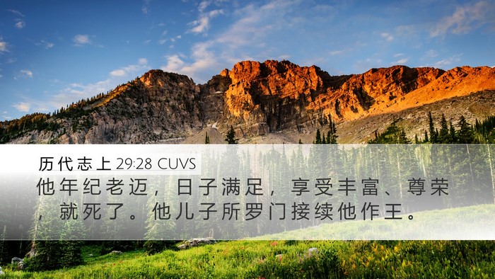 历 代 志 上 29:28 CUVS Bible Verse Image