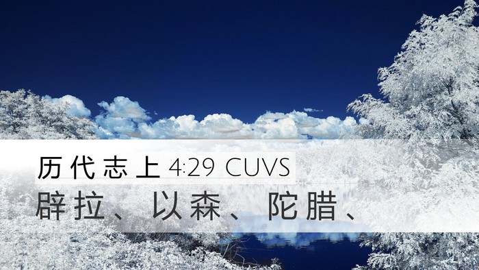 历 代 志 上 4:29 CUVS Bible Verse Image