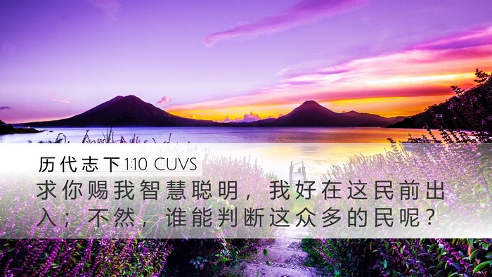 历 代 志 下 1:10 CUVS Bible Verse Image