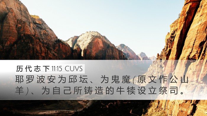 历 代 志 下 11:15 CUVS Bible Verse Image