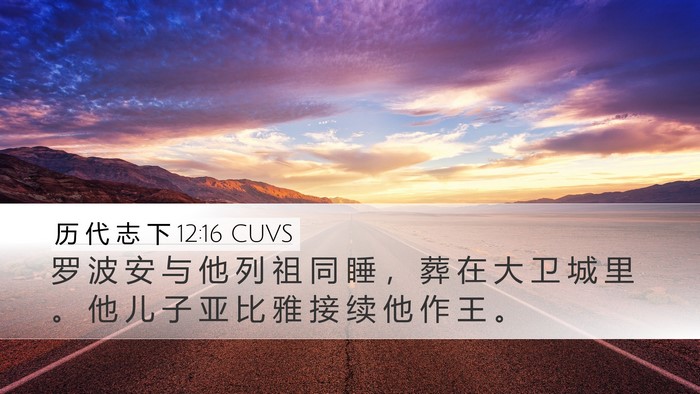 历 代 志 下 12:16 CUVS Bible Verse Image