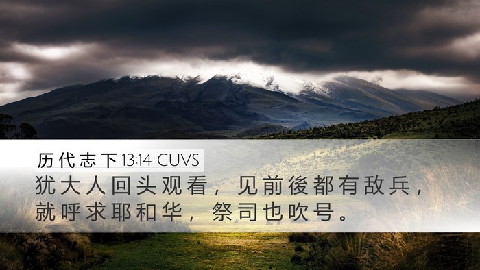 历 代 志 下 13:14 CUVS Bible Verse Image