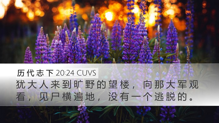历 代 志 下 20:24 CUVS Desktop Wallpaper - 犹 大 人 来 到 旷 野 的 望 楼 ， 向 - Desktop Bible Verse Wallpaper