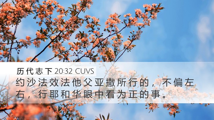 历 代 志 下 20:32 CUVS Desktop Wallpaper - 约 沙 法 效 法 他 父 亚 撒 所 行 的 - Desktop Bible Verse Wallpaper