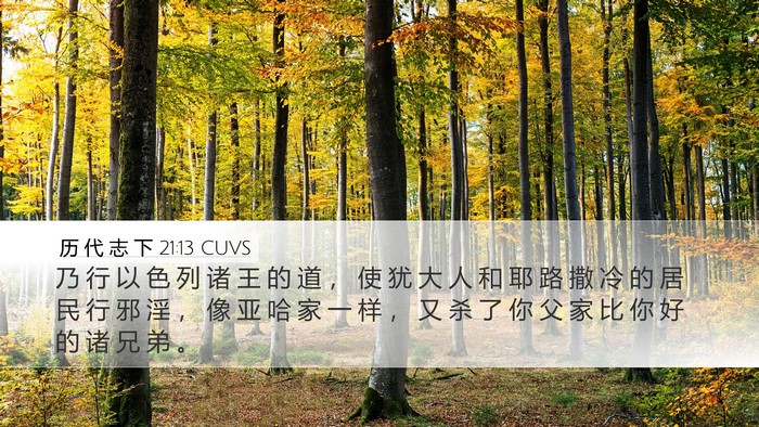 历 代 志 下 21:13 CUVS Bible Verse Image