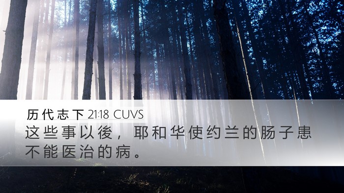 历 代 志 下 21:18 CUVS Bible Verse Image