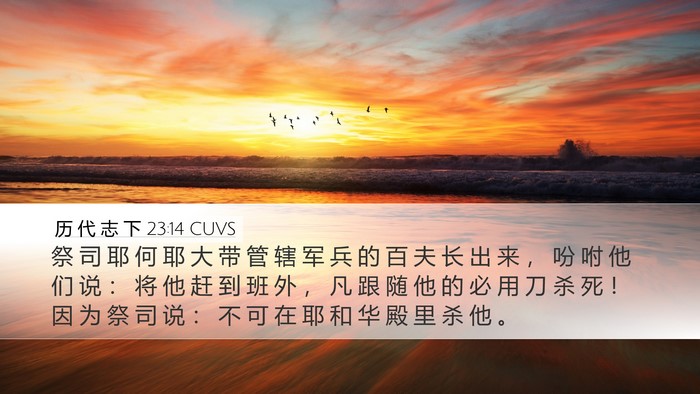 历 代 志 下 23:14 CUVS Bible Verse Image