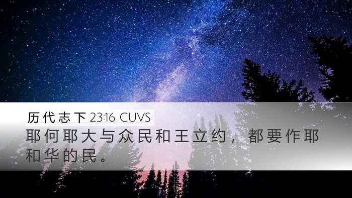 历 代 志 下 23:16 CUVS Bible Verse Image