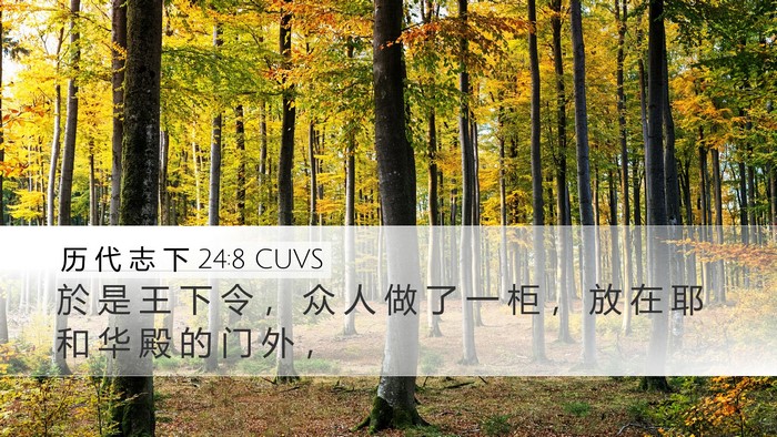 历 代 志 下 24:8 CUVS Bible Verse Image
